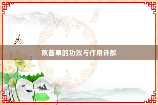 败酱草的功效与作用详解