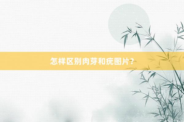 怎样区别肉芽和疣图片？