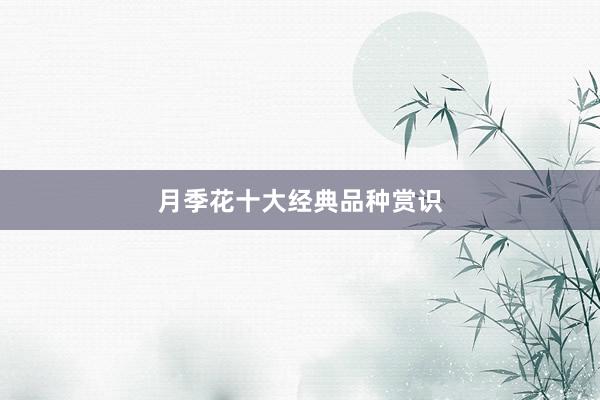 月季花十大经典品种赏识