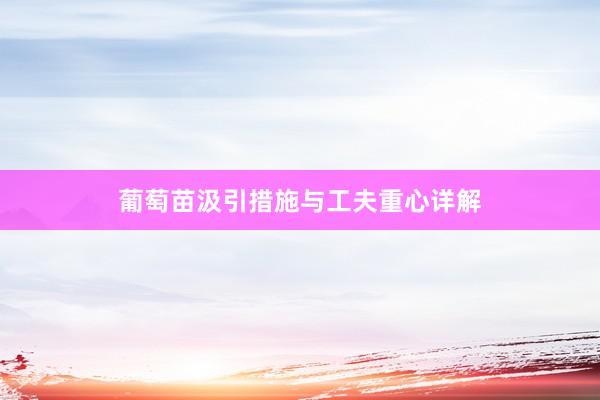 葡萄苗汲引措施与工夫重心详解