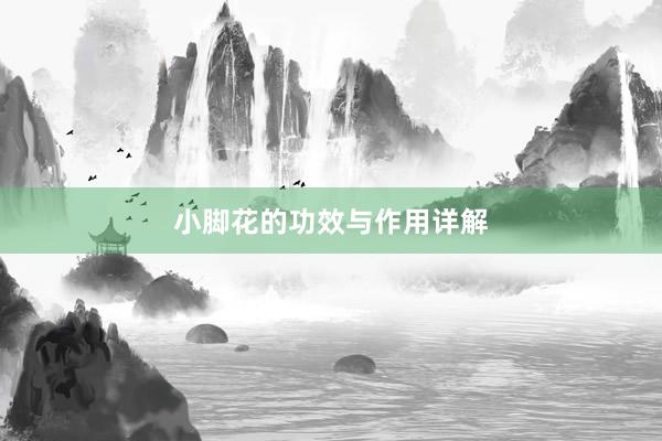 小脚花的功效与作用详解